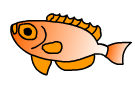 fish2